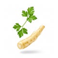 Falling parsnip and parsley isolated on white background. Parsnip root and parsley leaves in motion close-up Royalty Free Stock Photo