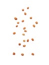 Falling peanuts isolated on white background with clipping path. Royalty Free Stock Photo