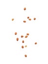 Falling peanuts isolated on white background with clipping path. Royalty Free Stock Photo