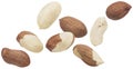 Falling peanuts isolated on white background Royalty Free Stock Photo