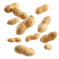 Falling peanuts realistic nuts isolated on white background Royalty Free Stock Photo