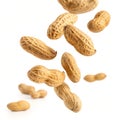 Falling peanuts realistic nuts isolated on white background Royalty Free Stock Photo