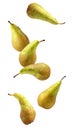 falling pears isolated on a white background with a clipping path. pear conference.