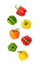 Falling peppers isolated on a white background. Flying colorful bell pepper pattern. Design for packaging. Vegetable fly Royalty Free Stock Photo