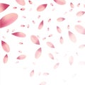 Falling pink flower petals