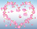Falling pink petals from a rose or peony in the shape of a heart on background blue sky. Romantic frame design for love cards, Royalty Free Stock Photo