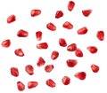 Falling pomegranate seeds. Collection of flying pomegranate fruit seeds isolated on white background, with cliping path.