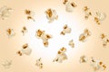 Falling popcorn are isolated on a colored background with clipping path as package design element and advertising