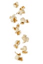 Falling popcorn are isolated on a white background with clipping path as package design element and advertising