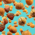 Falling Pumpkin isolated on blue background, selective focus