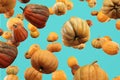 Falling Pumpkin isolated on blue background, selective focus