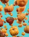 Falling Pumpkin isolated on blue background, selective focus