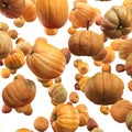 Falling Pumpkin isolated on white background, selective focus