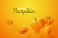 Falling pumpkin on orange background, Organic vegetable and healthy fresh food concept