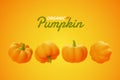 Falling pumpkin on orange background, Organic vegetable and healthy fresh food concept