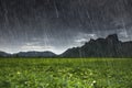 Falling rain at Khao Jeen Lae, mountain at Lopburi, Thailand