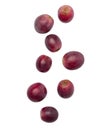 Falling red grapes isolated on white background with clipping path. Royalty Free Stock Photo