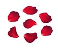 Falling red rose petals isolated on white background. Vector illustration Royalty Free Stock Photo