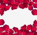 Falling red rose petals isolated on white background. Vector illustration Royalty Free Stock Photo