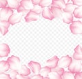 Falling red rose petals isolated on white background. Vector illustration Royalty Free Stock Photo