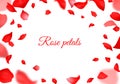 Falling red rose petals. Realistic flying petal, botanical frame for valentines day and wedding decor, blurred floral Royalty Free Stock Photo