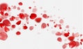 Falling Red rose petals on a transparent background.Vector illustration Royalty Free Stock Photo