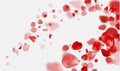 Falling Red rose petals on a transparent background.Vector illustration Royalty Free Stock Photo