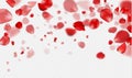 Falling Red rose petals on a transparent background.Vector illustration Royalty Free Stock Photo