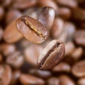 Falling roasted coffee beans