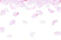 Falling rose petals soft delicate pink blossom. Sakura cherry flying flowers. 3d realistic design. Vector illustration Royalty Free Stock Photo