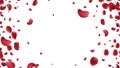 Falling. Rose petals Vector illustration. Red rose petals on fake transparent background Royalty Free Stock Photo