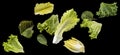 Falling salad leaves isolated on black background Royalty Free Stock Photo