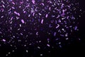Falling Shiny Glitter purple Confetti isolated on black background. Christmas or Happy New Year Confetti.