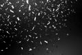 Falling Shiny Glitter silver Confetti isolated on black background. Christmas or Happy New Year Confetti