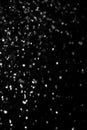 Falling snow on a black background. Snowfall weather. Texture for overlay