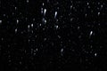 Falling snow on a black background for use as a texture layer in your project. Royalty Free Stock Photo