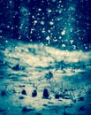 Falling Snow. Blue toning. Royalty Free Stock Photo