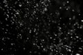 Falling snow down on the black background Royalty Free Stock Photo