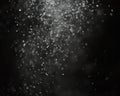 Falling Snow down On The Black Background