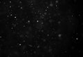 Falling Snow down On The Black Background. Royalty Free Stock Photo