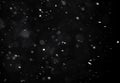 Falling Snow down On The Black Background. Royalty Free Stock Photo