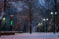 Falling snow in erzincan