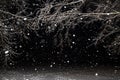 Falling snow. Flakes of snow on a black background. Snowfall, snowflakes texture Royalty Free Stock Photo