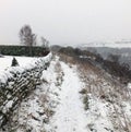 Falling snow on a hillside path with stone all and distant tree