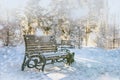 Falling snow. Pew in city Park. Fairy winter scene in park