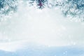 Falling snow on pine tree branches Royalty Free Stock Photo