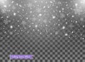 Falling snow, random elements. New year, Christmas decor overlay. Vector illustration on isolated transparent background. Royalty Free Stock Photo