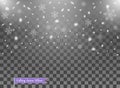 Falling snow, random elements. New year, Christmas decor overlay. Vector illustration on isolated transparent background. Royalty Free Stock Photo