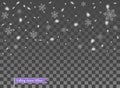 Falling snow, random elements. New year, Christmas decor overlay. Vector illustration on isolated transparent background. Royalty Free Stock Photo