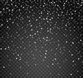 Falling snow on transparent background. Christmas snowflake vector backdrop. White snow decoration isolated Royalty Free Stock Photo